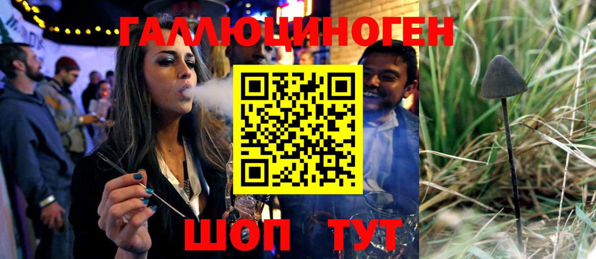 Кубинка  Галлюциногенные грибы Psilocybine cubensis  Вход с VPN 