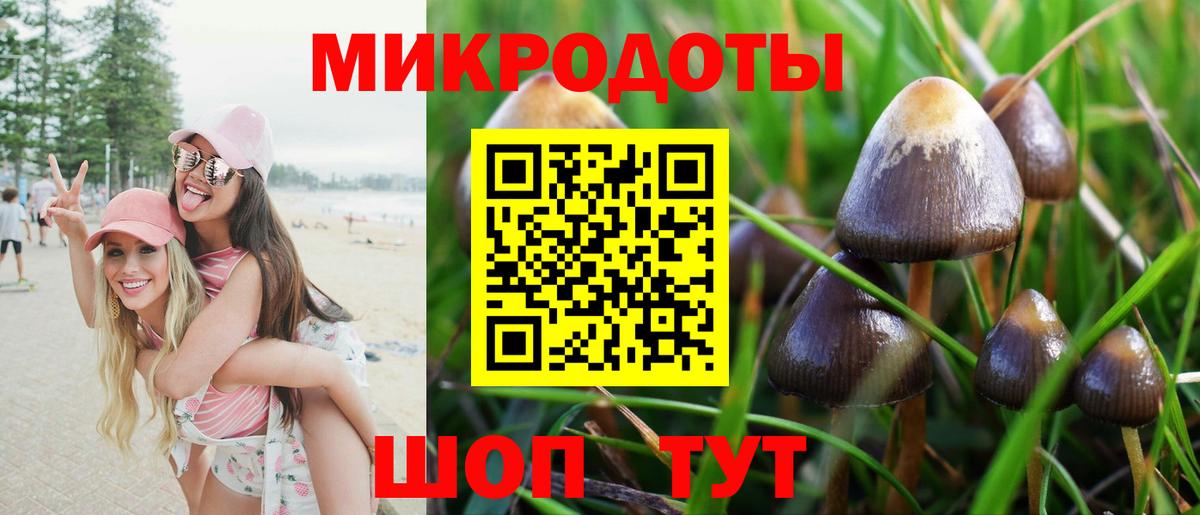 Псилоцибиновые грибы MAGIC MUSHROOMS Кубинка